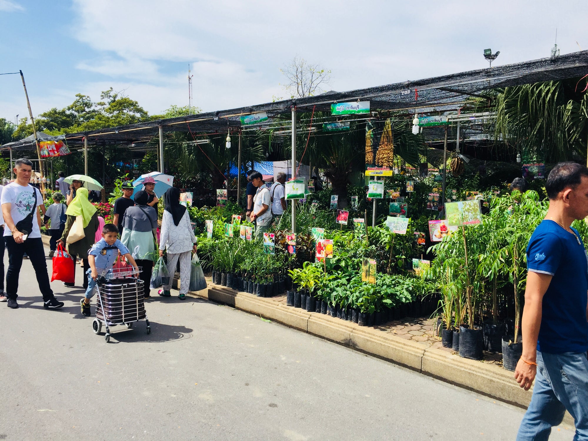 
          
            Interesting plants and people from the Suan Luang Plant Fair, 1-10 Dec 2016
          
        